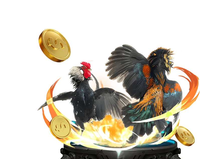 Đa dạng trận đấu đá gà ga6789